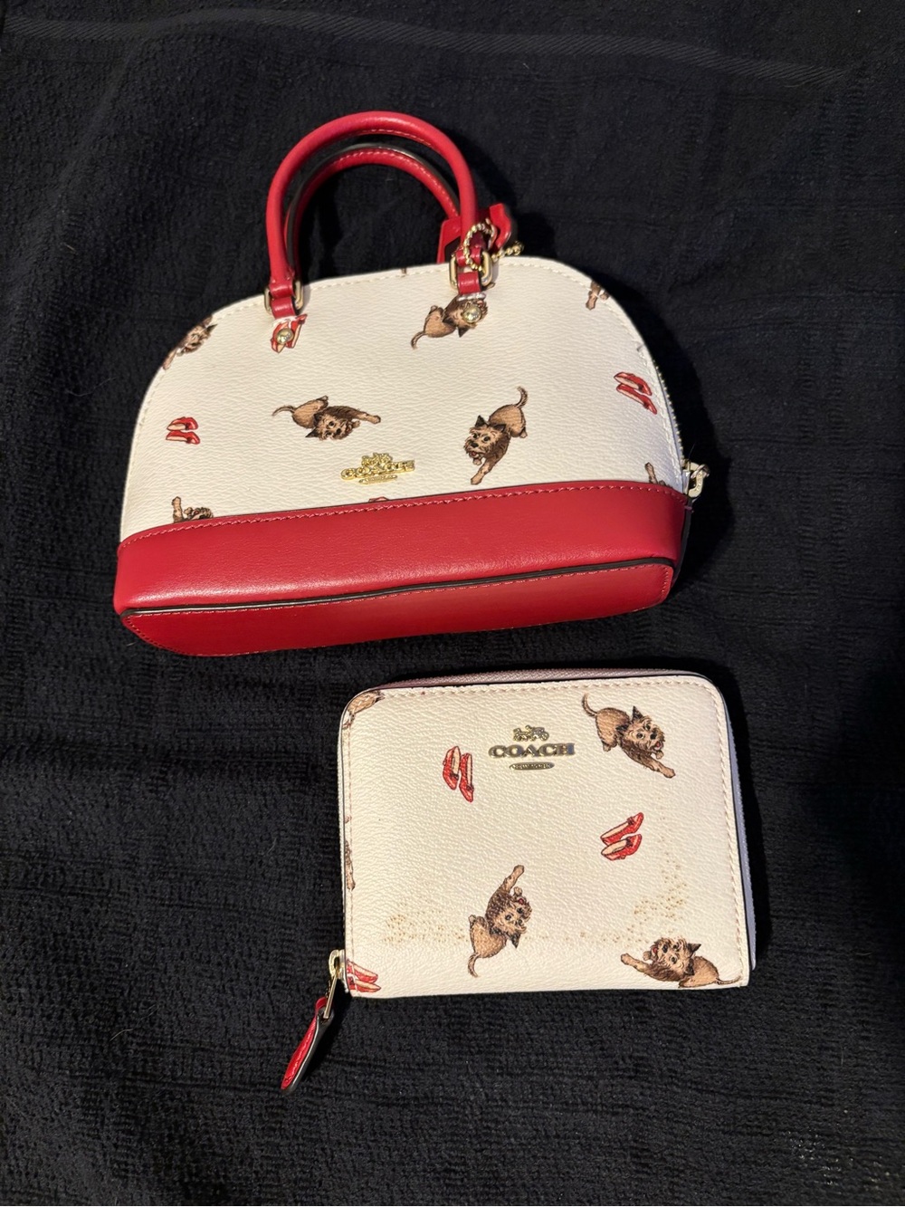 Rare Coach x Wizard of Oz Bag & Wallet Set – Toto & Ruby Slippers